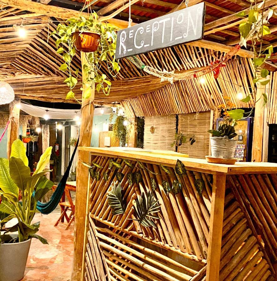 Barco Verde Hostel Ilha Holbox Exterior foto